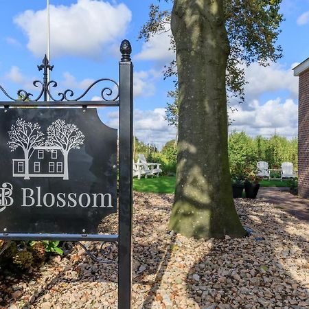 B&B Blossom Lisse Luaran gambar