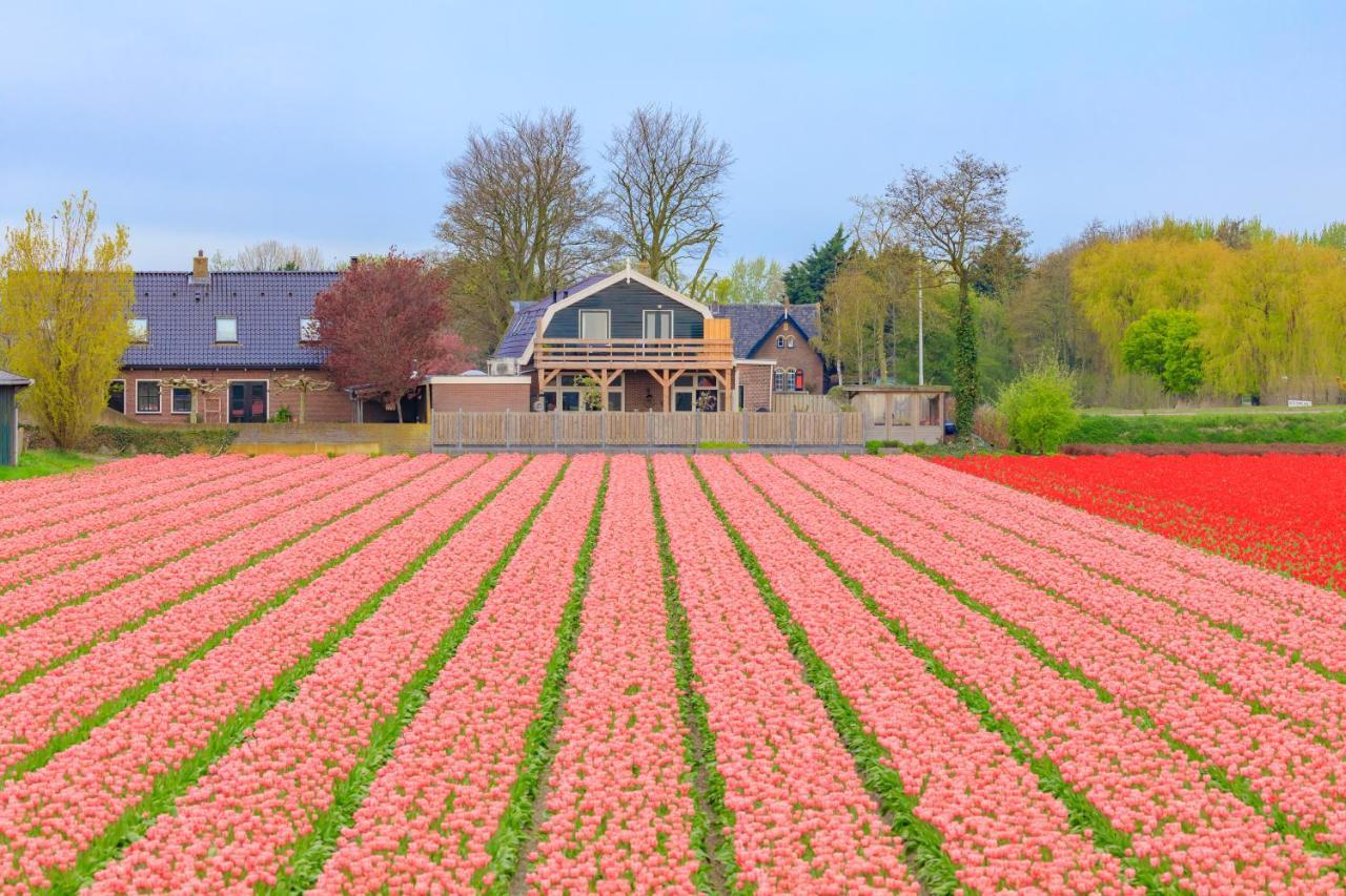 B&B Blossom Lisse Luaran gambar